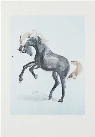 PAGLIACCI ALDO 1913 - 1991 Cavallo litografia es. p.d.A. 70x50 cm firma in...