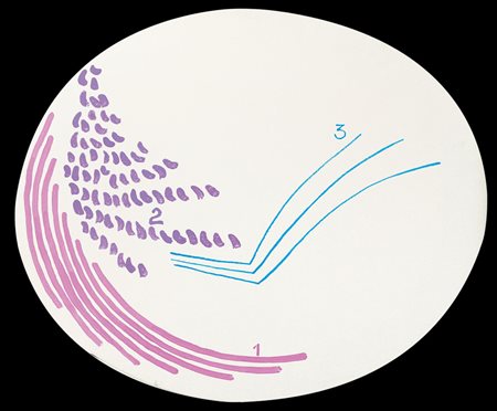 GRIFFA GIORGIO Torino 29/03/19363 colori, 1999acrilico su tela ovale cm....