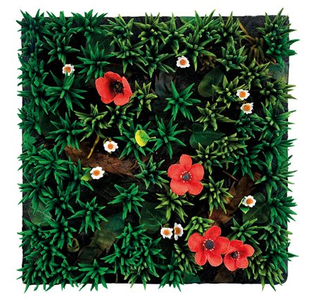 GILARDI PIERO Torino 03/08/1942Campionario di tappeti natura n° 2 (papaveri),...