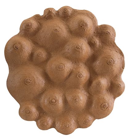 MAINOLFI LUIGI Rotondi (Av) 16/02/1948Seni, 2004terracotta su tavola diametro...