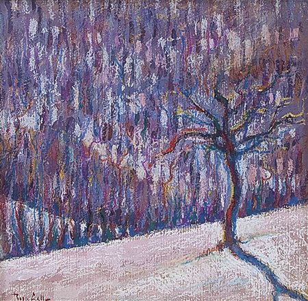 GALLO BEPPE Castagnole delle Lanze 19/07/1942Langa, tra neve e ombra,...