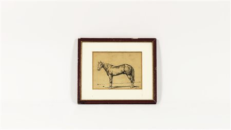 FRANCESCO GIOLI (1846-1922) Cavallo disegno a matita su carta, firmato, in...