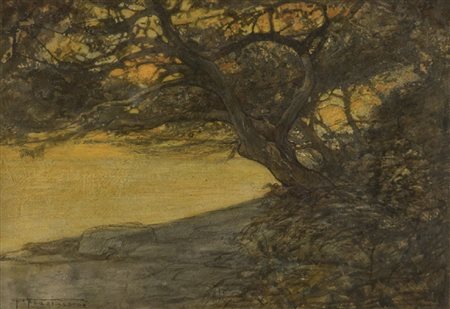 PIETRO FRAGIACOMO (1856 - 1922) OLIO su cartoncino intitolato "vecchio pino"....