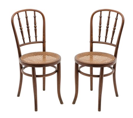 DUE SEDIE Thonet (Fischell) in faggio curvato a fuoco (seduta h cm 45). Primi...