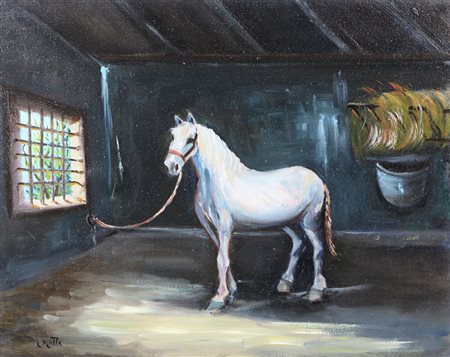 Matta Mario Cavallo olio su tela, cm. 40x50 firmato in basso a sinistra senza...