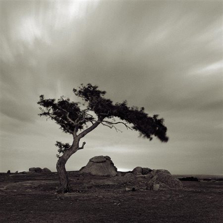 Peter Williams Australia n.d Dog Rocks 8743 2009 Fotografia 40x40