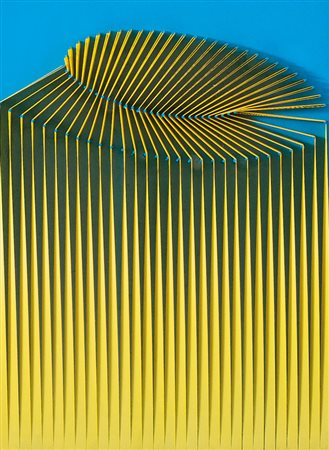 BIASI ALBERTO Padova 02/06/1937Politipo, 1976rilievo in tela e legno dipinto...