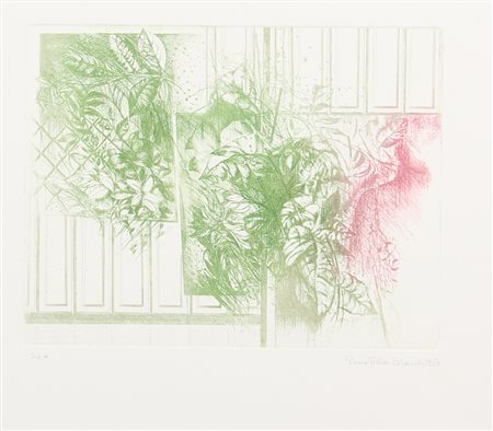 Donatella Bianchi, Senza titolo, 1980, incisione su carta, cm. 70x50 (lastra...