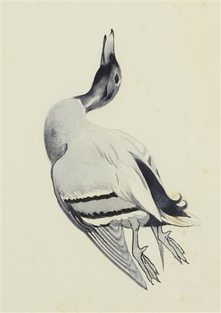 Mario Norfini, Anatra, acquerello su carta, cm. 32x24, firma sbiadita in...