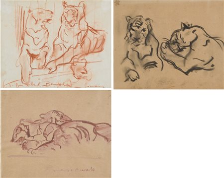 NOVATI MARCO Venezia 1895 - 1975 Tigri del Bengala (fine anni '20) lotto di 3...