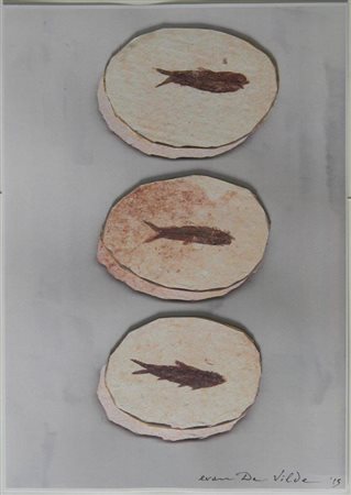 Evan De Vilde, Scanfoto, 2015, tecnica mista e collage di cartoni su...