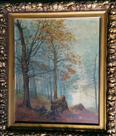 S.Acquaviva ,"Paesaggio boschivo" 1920.Olio su tavola cm 61x50 opera in...