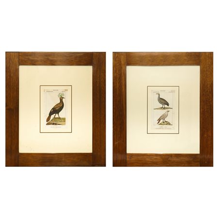 N°2 Stampe con uccelli, 19° secolo
