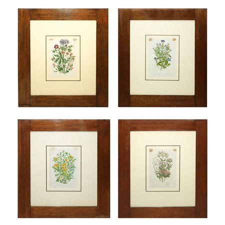 n°4 stampe con elementi floreali, 19° secolo