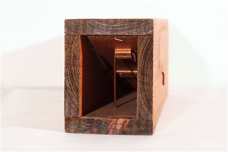 Andreas Slominski Nascita: 1959 Meppen (DE) Wieselwippbrettfalle, 1989...