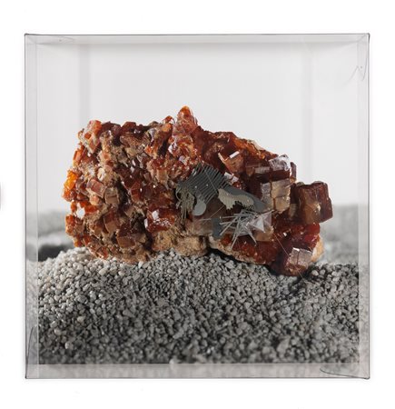 Loris Cecchini Nascita: 1969 Milano Radiances (thoughts oscillators on...