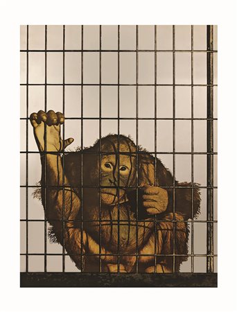 Michelangelo Pistoletto Nascita: 1933 Biella Scimmia, 1972 serigrafia su...