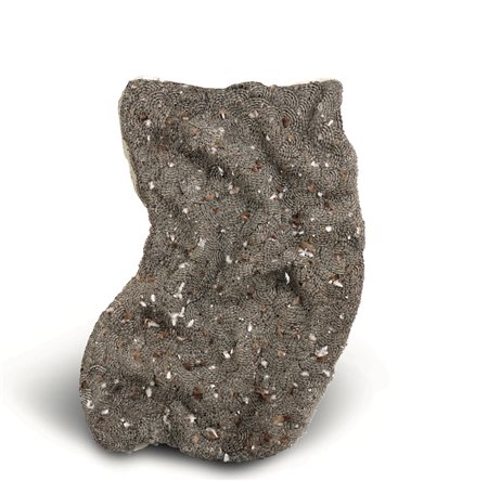 Gupta Sakshi Nascita: 1979 New Delhi Landscape of waking memories, 2007 filo...