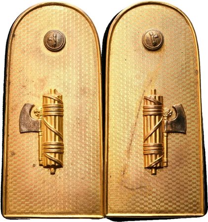  
Controspalline metalliche da ufficiale MVSN prima metà XX sec.
 55x130 mm