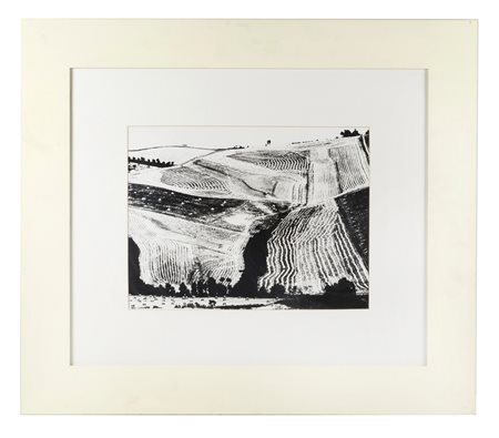 Mario Giacomelli (Senigallia, 1925 - Senigallia, 2000) 
"Presa di coscienza sulla natura" 1955 - 1967
Fotografia in bianco e nero Cm 30,5x40,5