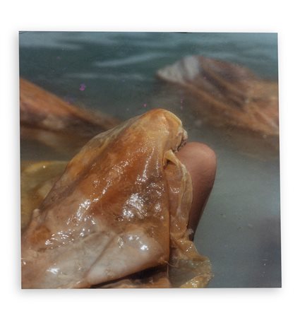 ELISA PAVAN (1977) - Origo, 1999