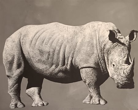 ZANELLA ANGELO Lovere (Bs) 1960 Rino 2014 Acrilico su tela 80,00x100,00...