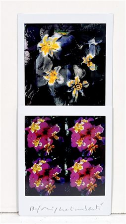 MAURIZIO GALIMBERTI, 15,5 x 7,3 cm, Titolo: "BiFlowers" Mosaico di due fuji...