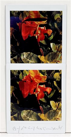 MAURIZIO GALIMBERTI, 7,3 x 15,5 cm, Titolo: "BiFlowers" Mosaico 2 Fujifilm...