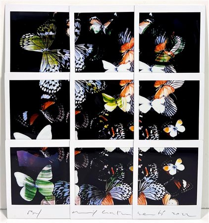 MAURIZIO GALIMBERTI, 21 x 22,5 cm, Titolo: Butterfly Mosaico di 9 Fuji Instax...