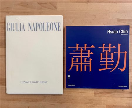 HSIAO CHIN E GIULIA NAPOLEONE - Lotto unico di 2 cataloghi