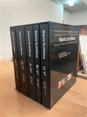 MARIO SCHIFANO - Studio metodologico riguardante la catalogazione informatica dei dati relativi alle opere di Mario Schifano presenti presso la Fondazione M.S. Multistudio
