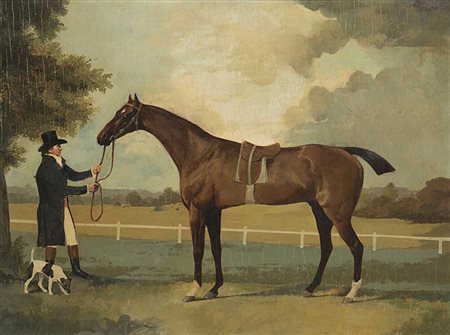 Scuola inglese sec. XIX "Cavaliere con cavallo e cane" olio su tavola (cm...