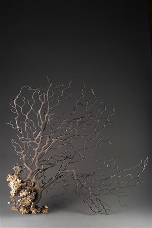 Grande ramo di finto corallo nero (h cm 80) (difetti) Large branch of black...
