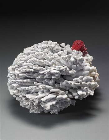 Grande madrepora policroma nei toni del bianco, grigio e rosso. Large...