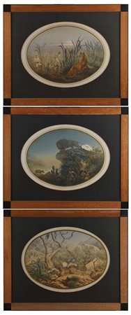 Gruppo di tre litografie a colori raffiguranti scene di caccia grossa ( cm...