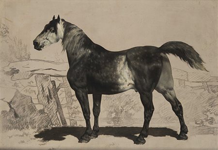 Alfred De Dreux (Parigi 1810-1860)(attr.) 'Il cavallo grigio' bozzetto ad...