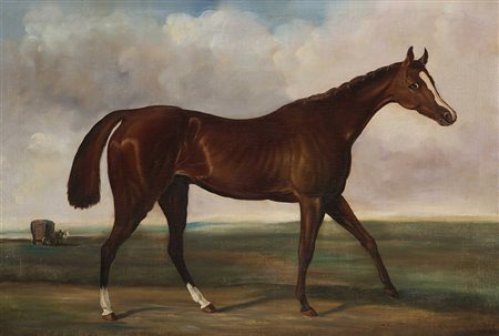 Scuola inglese del sec. XIX 'Cavallo in un paesaggio' olio su tela (cm 44x64)...