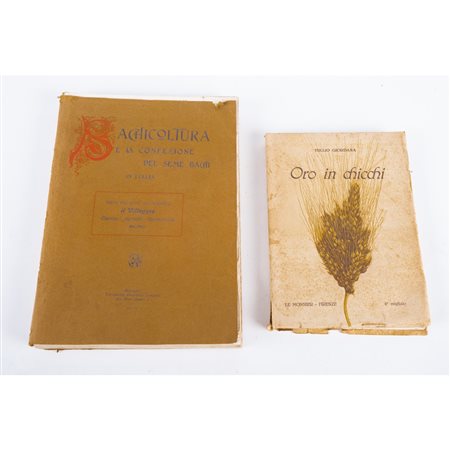 DUE VOLUMI DI AGRICOLTURA DEI PRIMI DEL ‘900