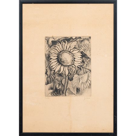 RENATO GUTTUSO, Girasole, Incisione