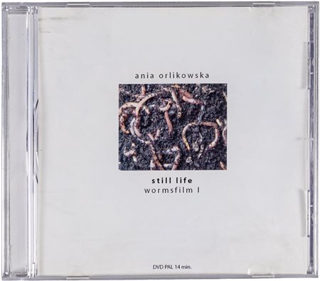 Still life 8 - Wormsfilm I