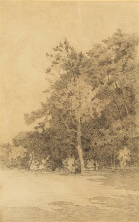 ERNESTO RAYPER<BR>Genova 1840 - 1873 Gameragna (SV)<BR>"Macchia d'alberi soleggiata" 1875