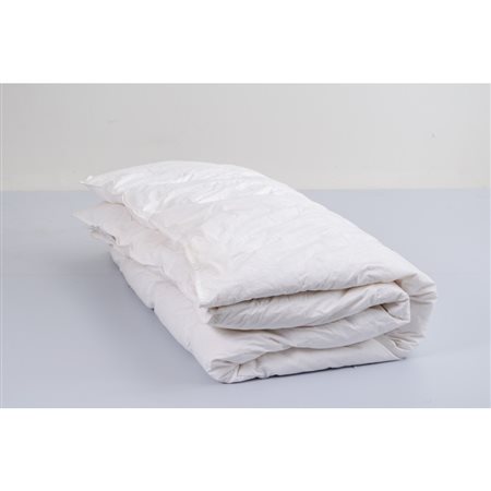 PRODUZIONE INGLESE 2000 ca., Piumino matrimoniale