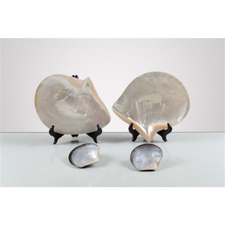 PRODUZIONE INGLESE 2000 ca., Quattro conchiglie