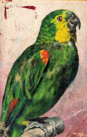 Scuola toscana seconda metà del XIX secolo () Pappagallino firmato in alto a...