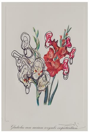 Salvador Dalí (1904 - 1989)
Gladiolus cum aurium corymbo exspectantium, 1972