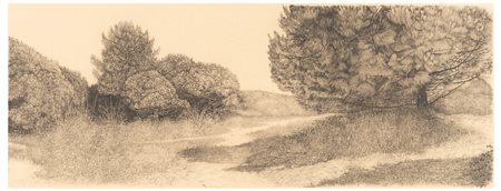 Livio Ceschin (1962)
Estate in pineta