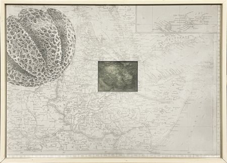 Pietro Ruffo (1978-), “Afghanistan”, 2004, grafite e gesso su carta, cm 100 ×...