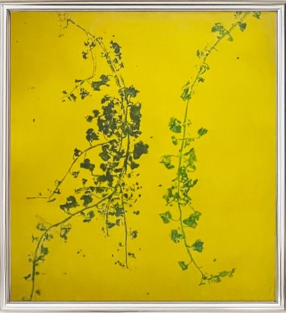 Massimo Barzagli (1960 - ), “Impressioni di Edera”, 1991,Olio su tela, cm...