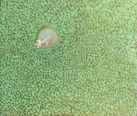 Walter Gasperoni (1943), “Lune Parlanti”, 2006, Olio e tecnica mista su tela,...