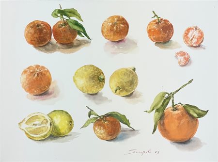 Claudia Rossi di Sanpolo (1967), "Agrumi", 2025, Acquerello su carta spessa...
